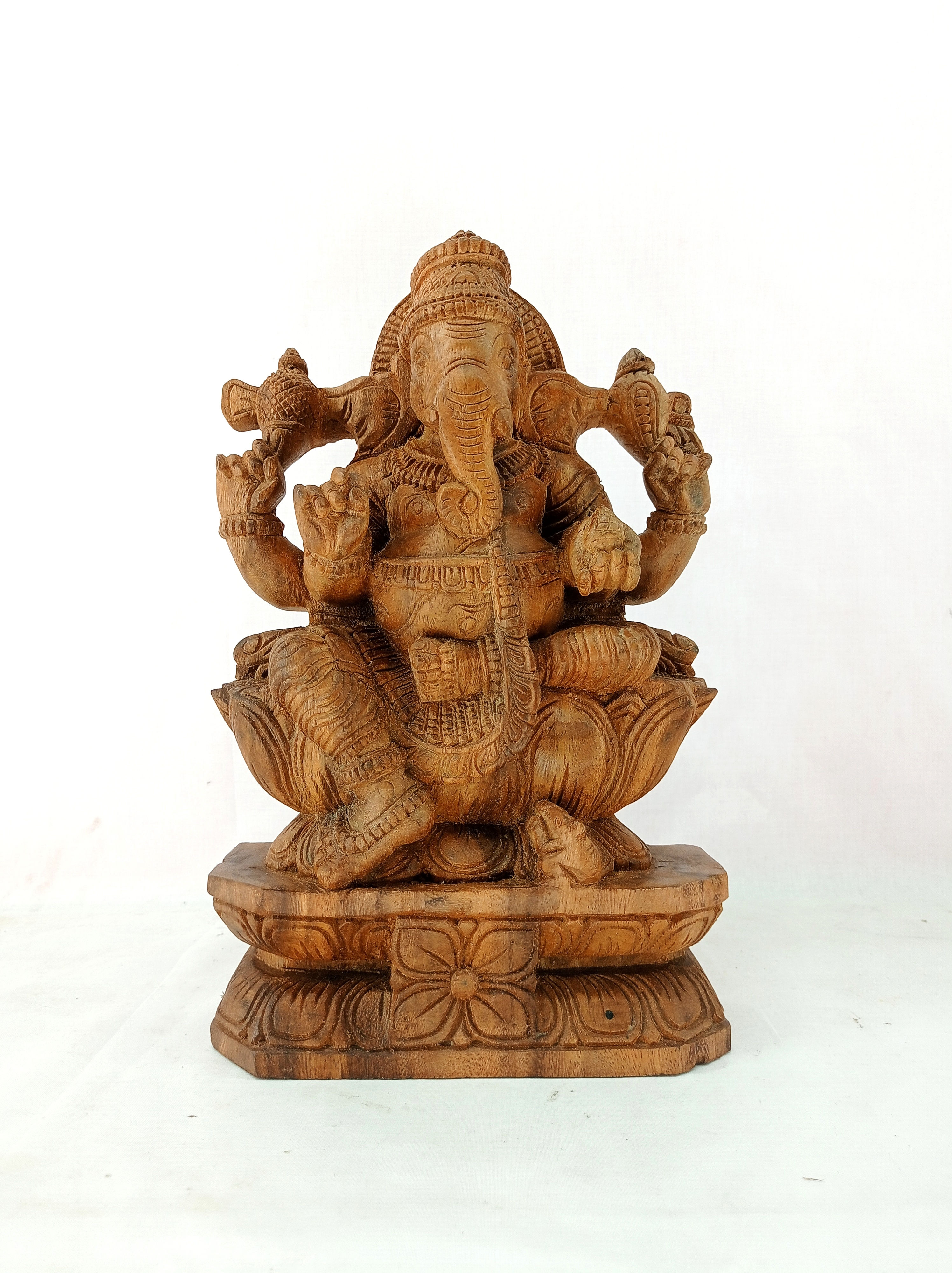 God Ganesh Natural
