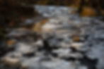 _X9A3194-Edit.jpg