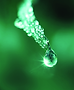 AdobeStock_206315490.png