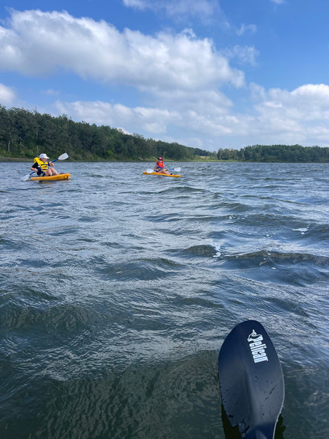 A person's perspective while paddleboarding on choppy water.
