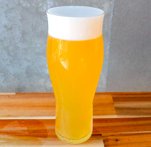 Kamogawa IPA.png