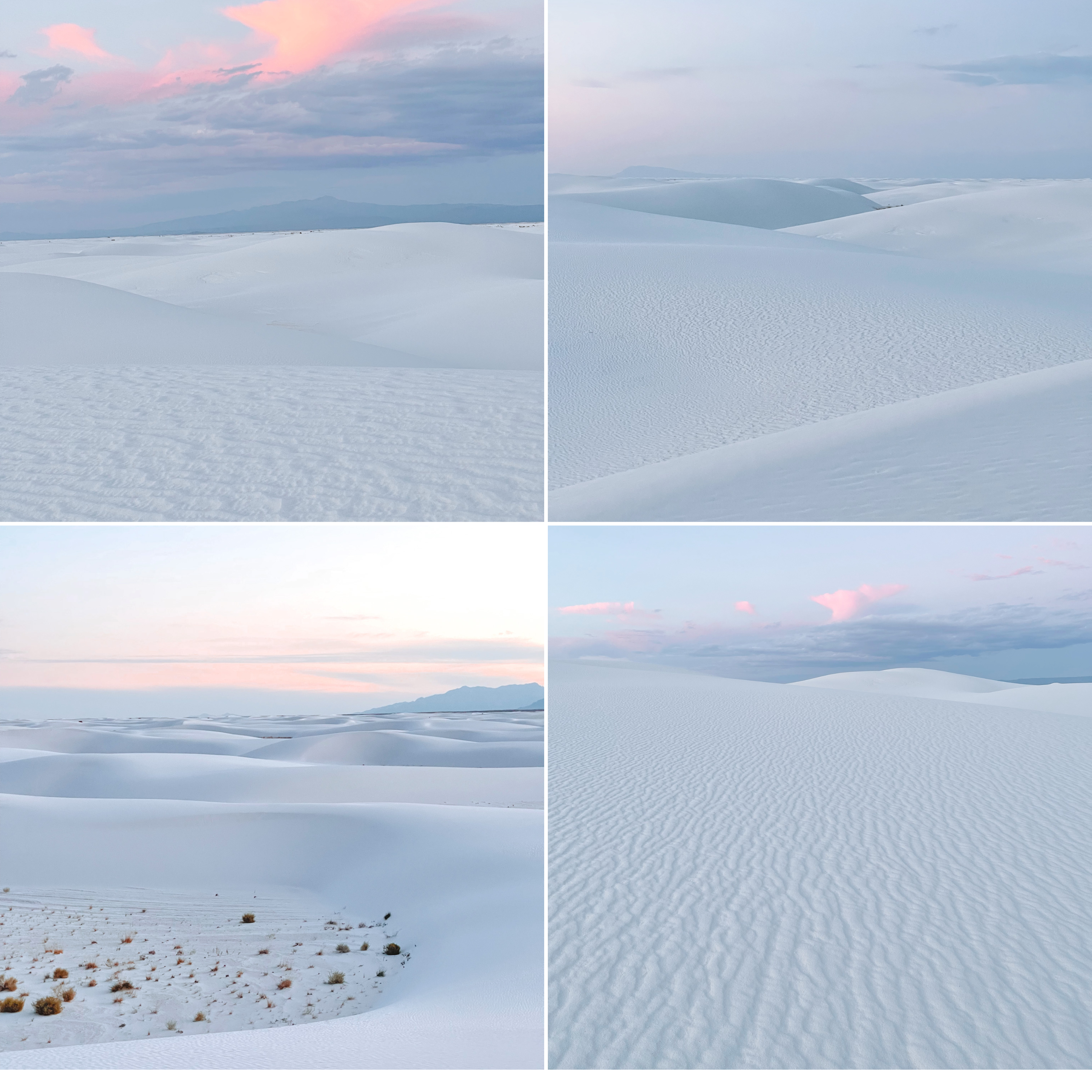 Set of 4 (White Sands)