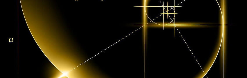 golden spiral.jpeg