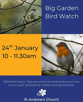 Bird Watch 2025.jpeg