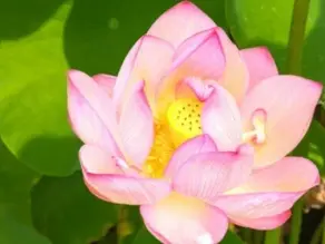 「宗教」っていうと敬遠されるかもしれないけど。。。