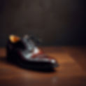 leather shoe .jpg