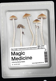 MV5BMjliNjQyMjEtNzI3MS00MDFkLWEzNGEtMjgyZTZlZWI1NWI1XkEyXkFqcGdeQXVyMjQ1MzQxOTA_._V1_FMjpg