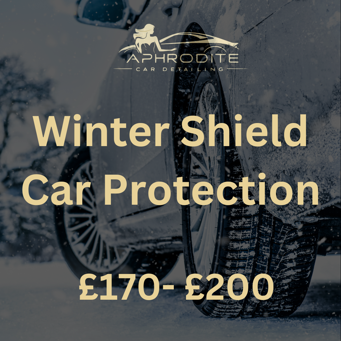 Winter Shield Car Protection service card