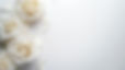 white-roses-on-white-background-with-copy-space-flat-lay-style-photo.jpg