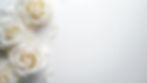 white-roses-on-white-background-with-copy-space-flat-lay-style-photo.jpg