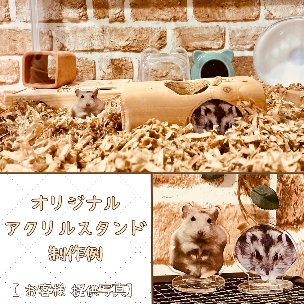 サムネイル： オリジナルアクリルスタンド【受注生産】