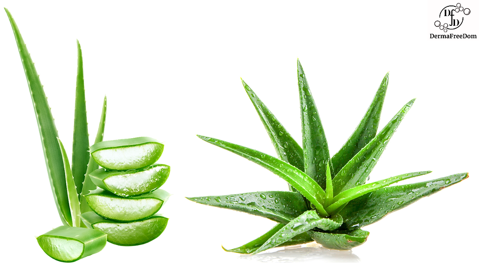 Oily skin care in summer
Summer skincare routine for oily skin
How to control oily skin in summer
Tips for oily skin in hot weather
Best skincare routine for oily skin
How to reduce oily skin naturally
Natural remedies for oily skin in summer
Best cleanser for oily skin in summer
Foods that help control oily skin
Daily skincare routine for oily skin