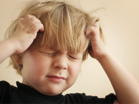 Lice Problem in Human- Causes, Prevention and Treatment