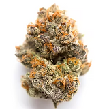 Purple Stardawg.png