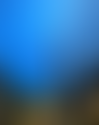 #DubaiLoving / Thursday 28.01.2016