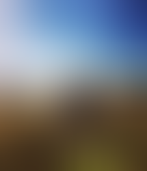 #DubaiLoving / Wednesday 10.02.2016