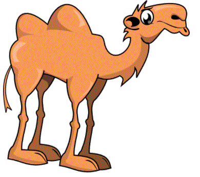 camel.GIF