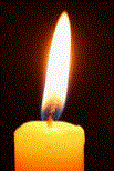 candle web.GIF