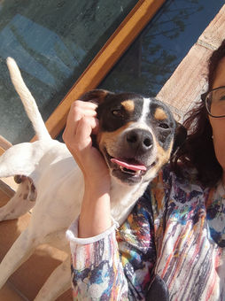 SMILLO - 09/2024 - hübsche, sehr anhängliche Frohnatur