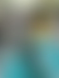 RESERVIERT: KARINA - 10/2025 - zauberhafter Welpe möchte die Welt entdecken