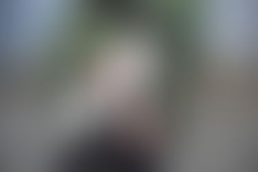 RESERVIERT: NALA - 04/2024 - kleine, fröhliche Bodeguera von der Polizei gerettet