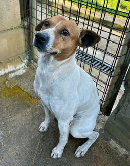 CAO - 2022 - völlig verängstigt im Stich gelassen