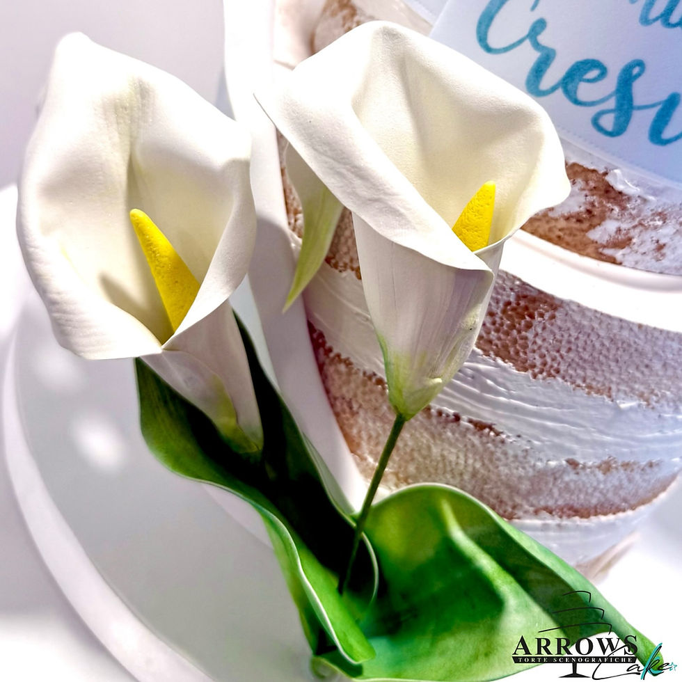 Miniatura: NUDE CAKE_Torta Scenografica