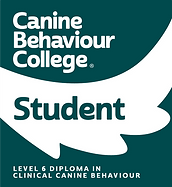 CBC-L6D_Badge_Student.png