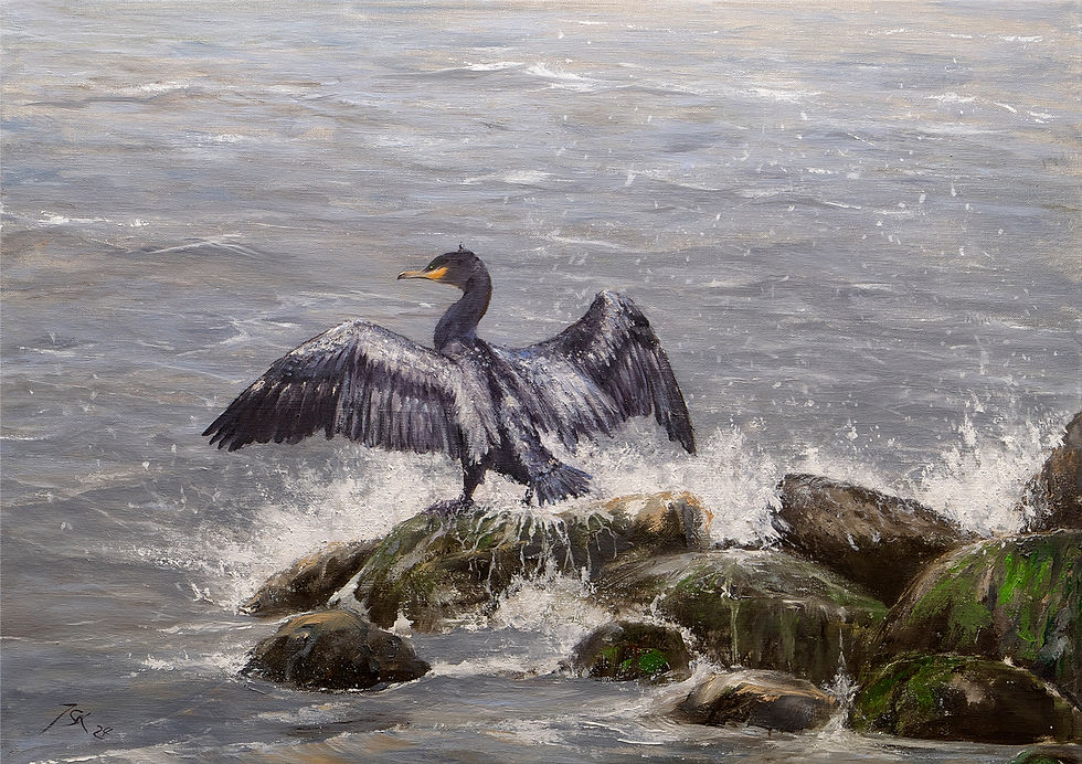 Der Kormoran Seine Majestät.jpg