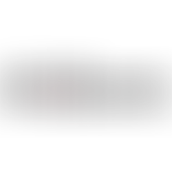 Cyber Security Specialist