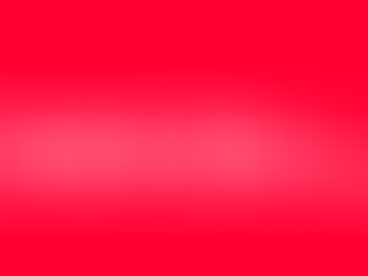 Full Stack Developer