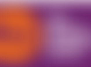 SME Relationship Officer