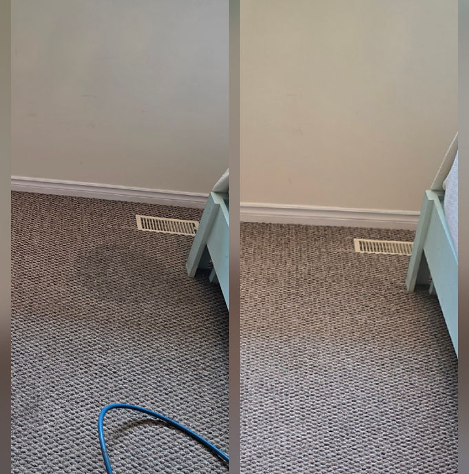 Spot and Stain Removal.jpg