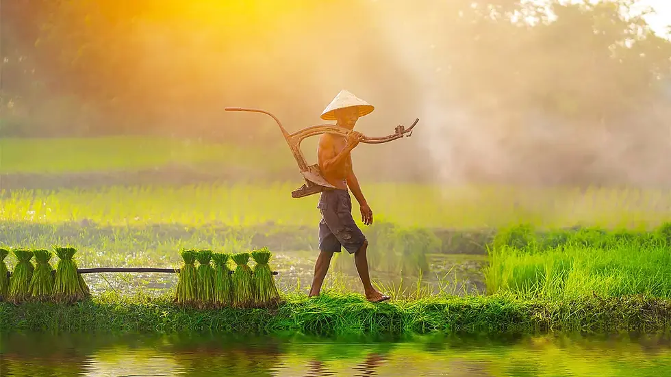 Thailand, Cambodia and Vietnam along the Mekong