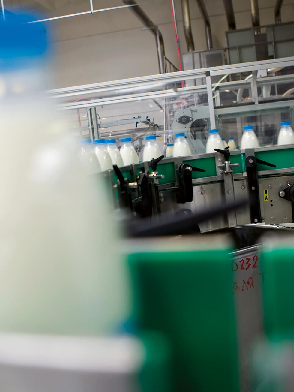 content-dairy plant.jpg