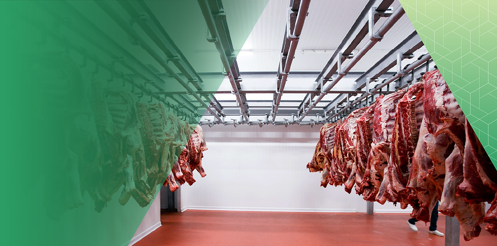 Modern food manufacturing facility supporting asset care and reliability programmes