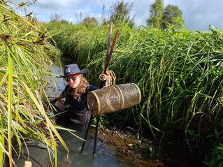 Retrieving minnow trap from stream