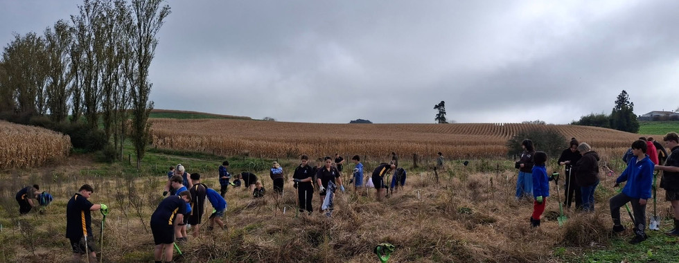 people planting trees