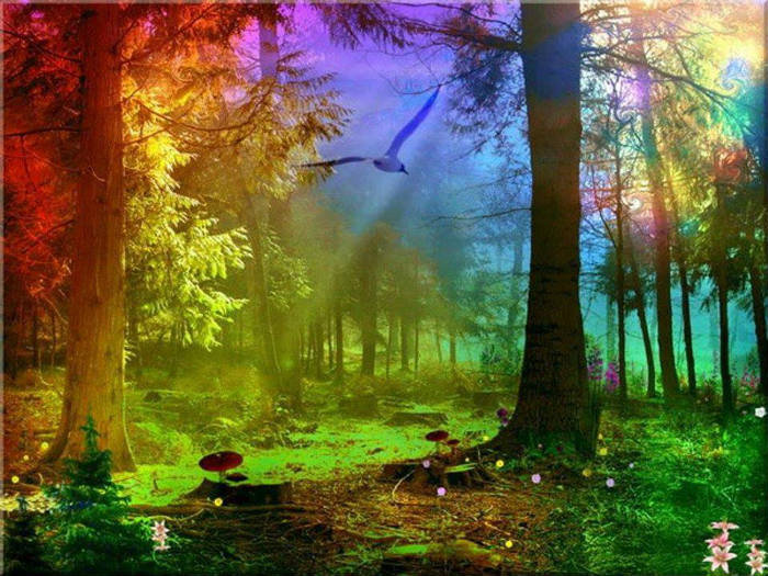 La magie de la nature