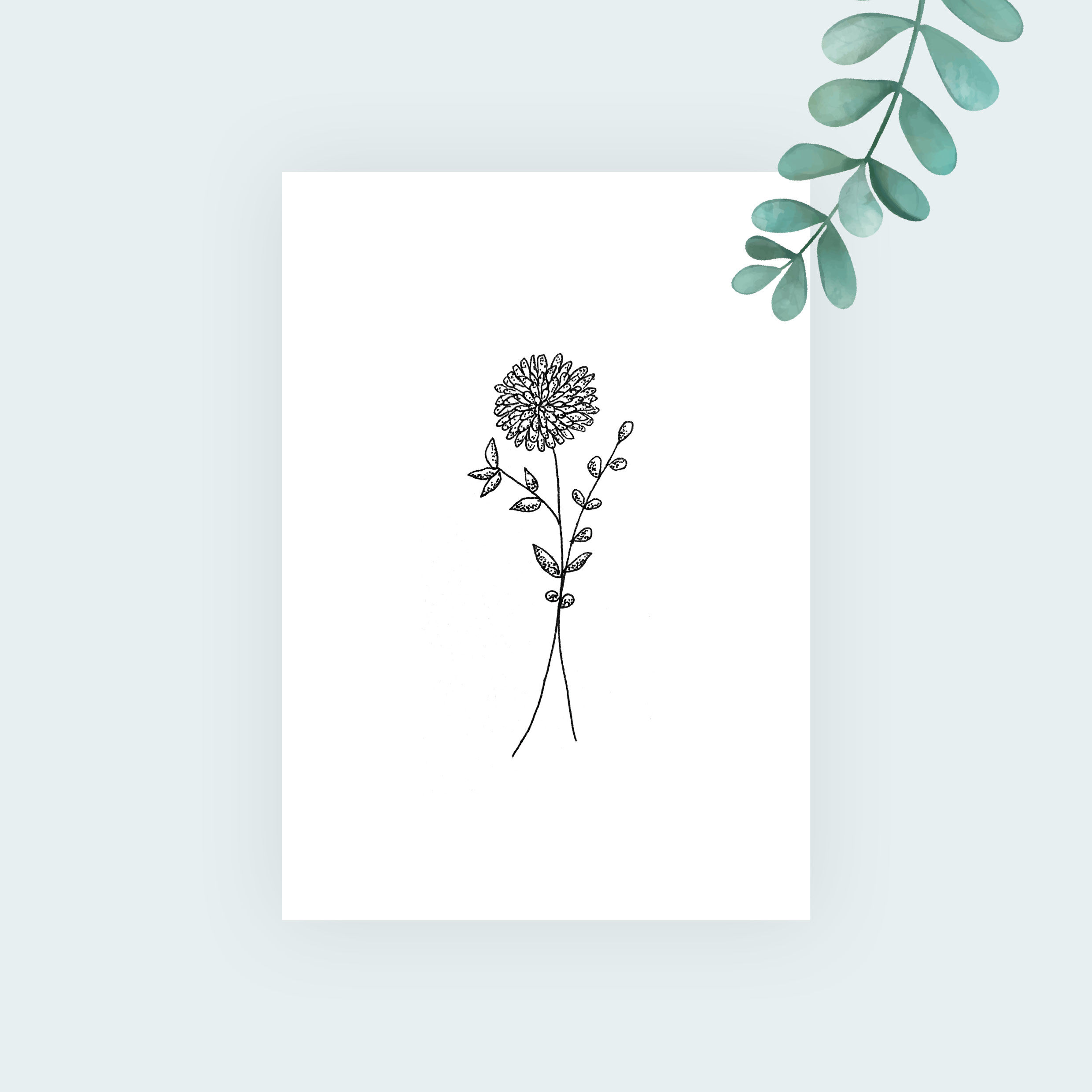 Chrysanthemum's the word