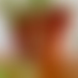 Como cultivar: Peperômias