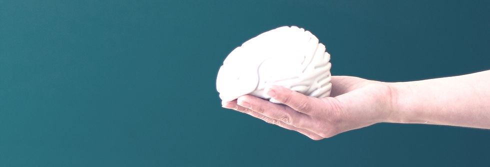 A hand gently holds a white brain model against a solid teal background, conveying a sense of care and contemplation.