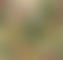 El Clark Art Institute celebra con nueva instalación 250 años de arte en Massachusetts