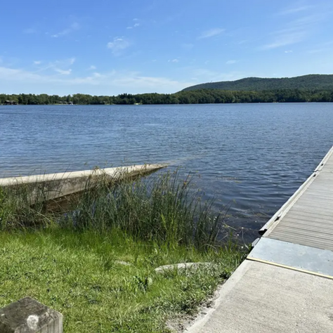 Richmond Pond vuelve a recibir visitantes tras superar alerta por algas tóxicas