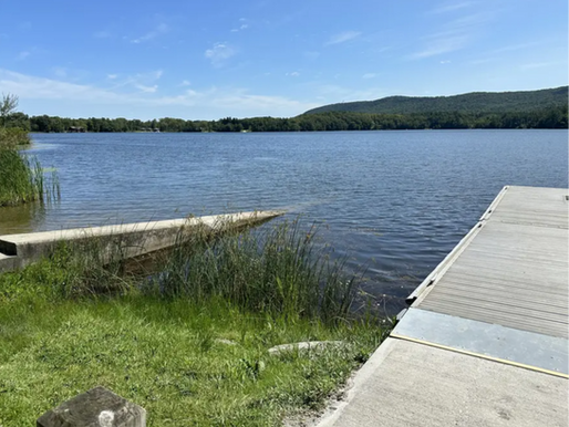 Richmond Pond vuelve a recibir visitantes tras superar alerta por algas tóxicas