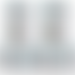 Investigan red de licencias fraudulentas en Massachusetts; acusado se declara culpable