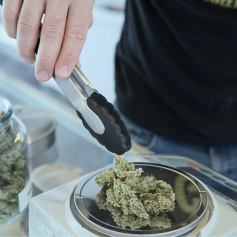 La Corte rechaza intento de frenar pregunta electoral sobre la marihuana.