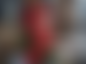 Las cartas de los más pequeños llegarán al Polo Norte gracias a la Policía de Dalton