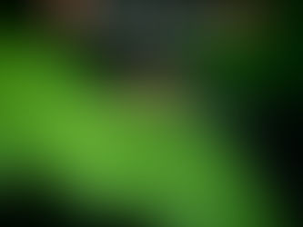 El mosquito portador del virus del Nilo Occidental llegó a Pittsfield.