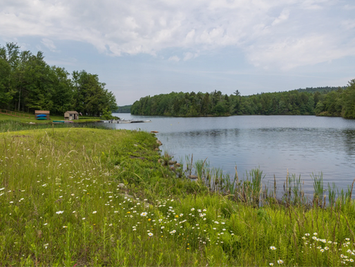 Mass Audubon compra 858 acres en Becket para crear nuevo santuario de vida silvestre